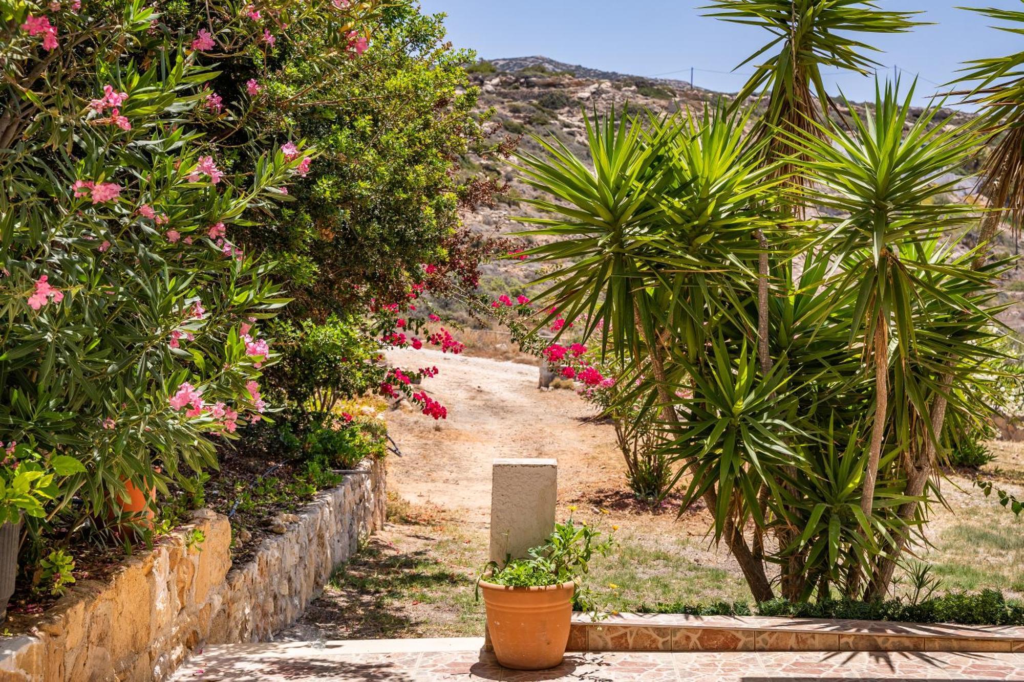 Sun Week Bay Hotel Lefkos  Exterior foto